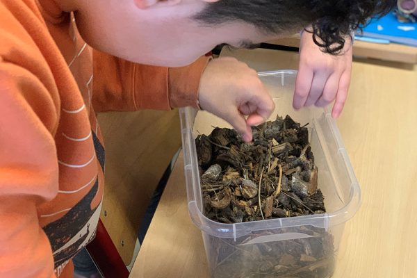 Stessie--anim-compost-duppigheim3 Stessie--anim-compost-duppigheim3